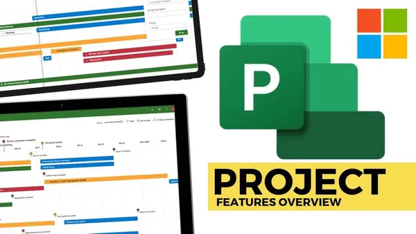 The pluses of Microsoft Project Professional: Why choose this tool?